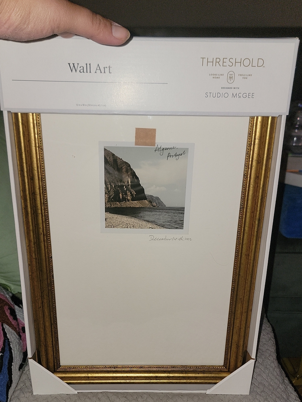 Threshold Studio McGee Gold Framed Wall Art 12 X 18 Inches